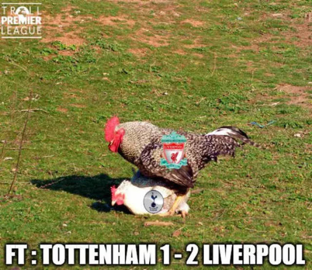 前锋关键进球锁定胜局